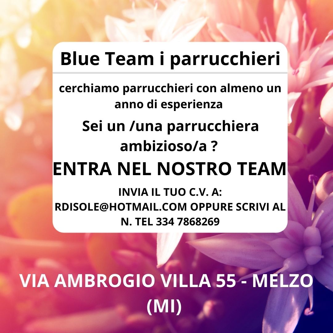 Blueteamiparrrucchieri - Melzo - Ricerca Personale